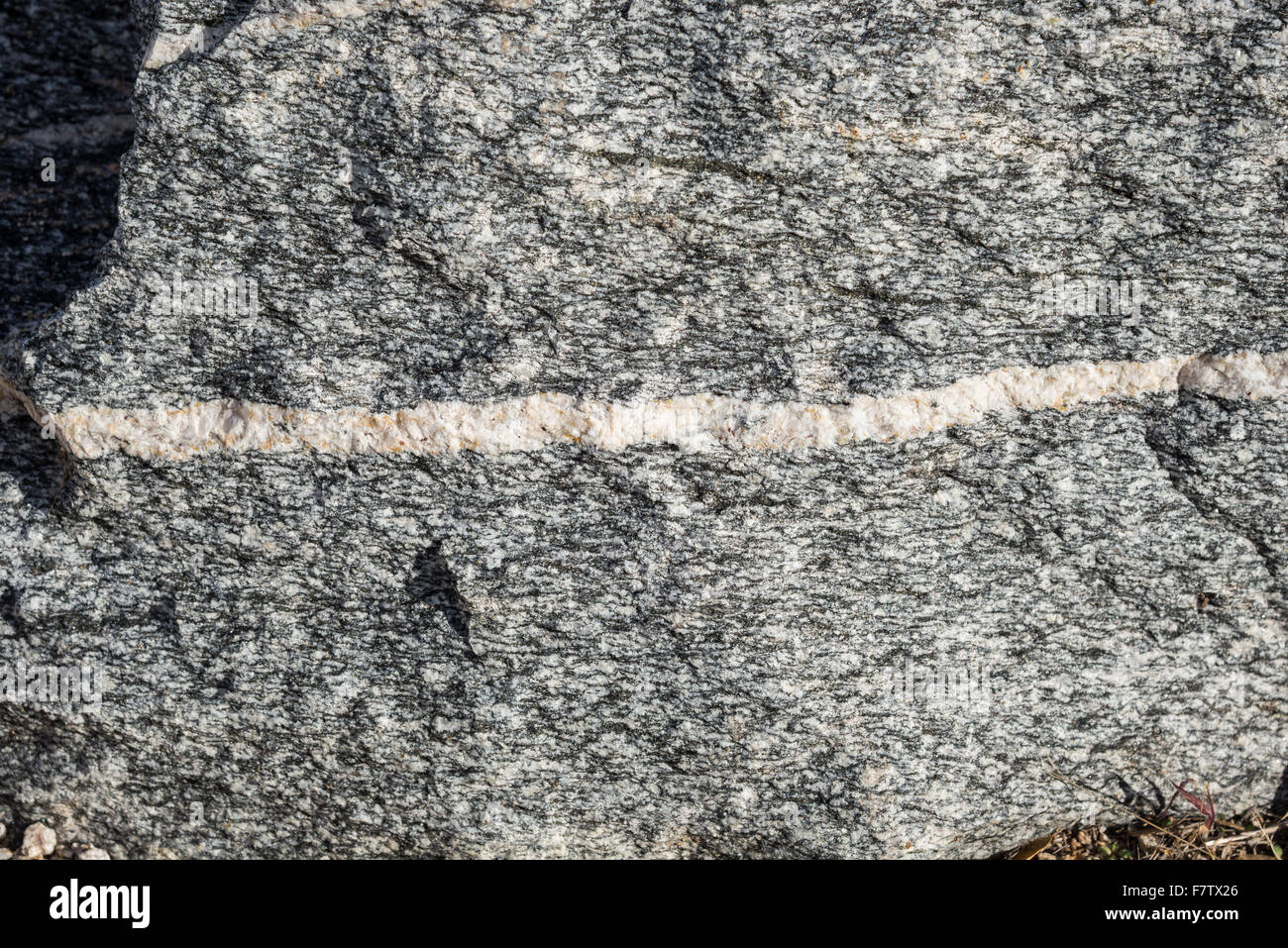Precambrian Migmatite consiste di minerali di quarzo, feldspato e biotite a Mount Lemmon, Tucson, Arizona, Stati Uniti. Foto Stock