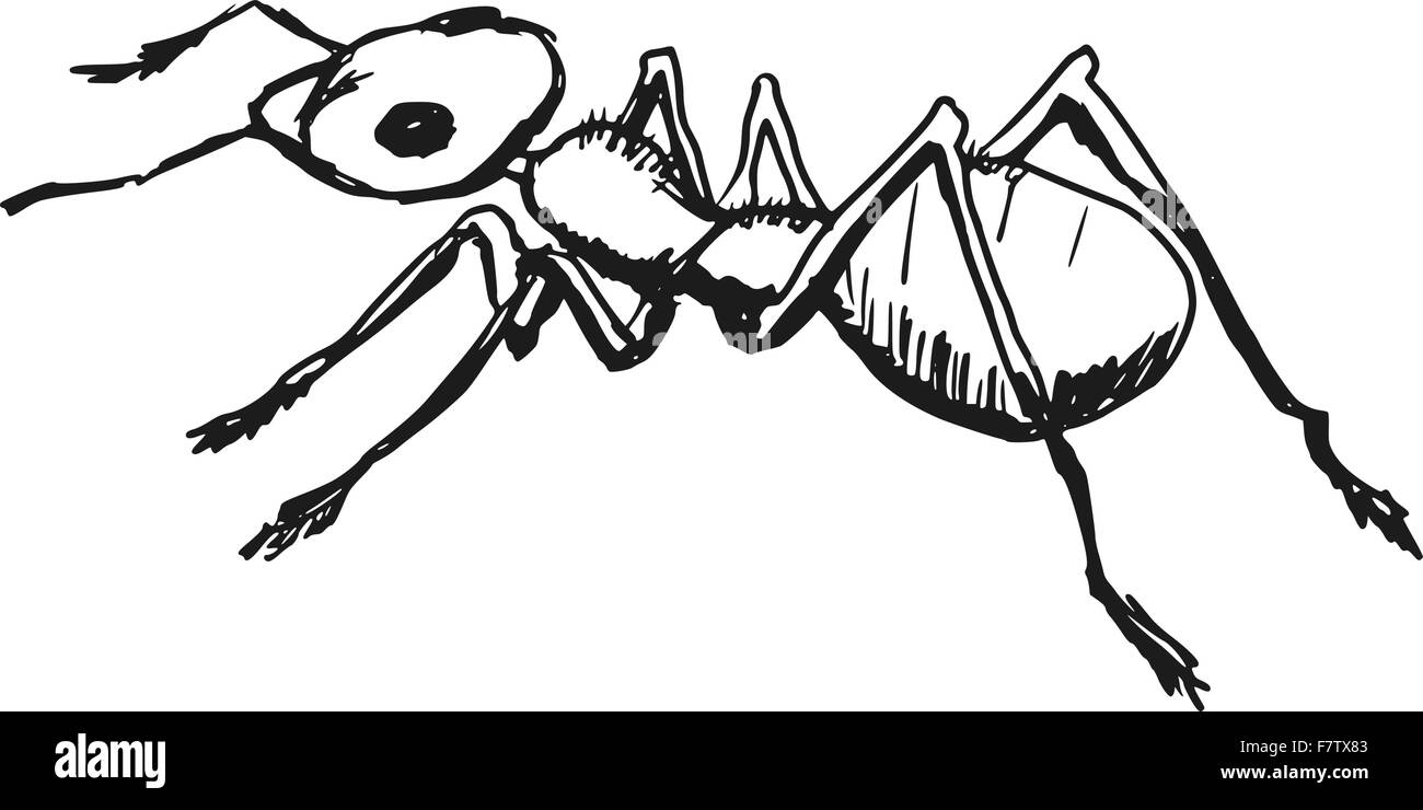 formica rossa Illustrazione Vettoriale