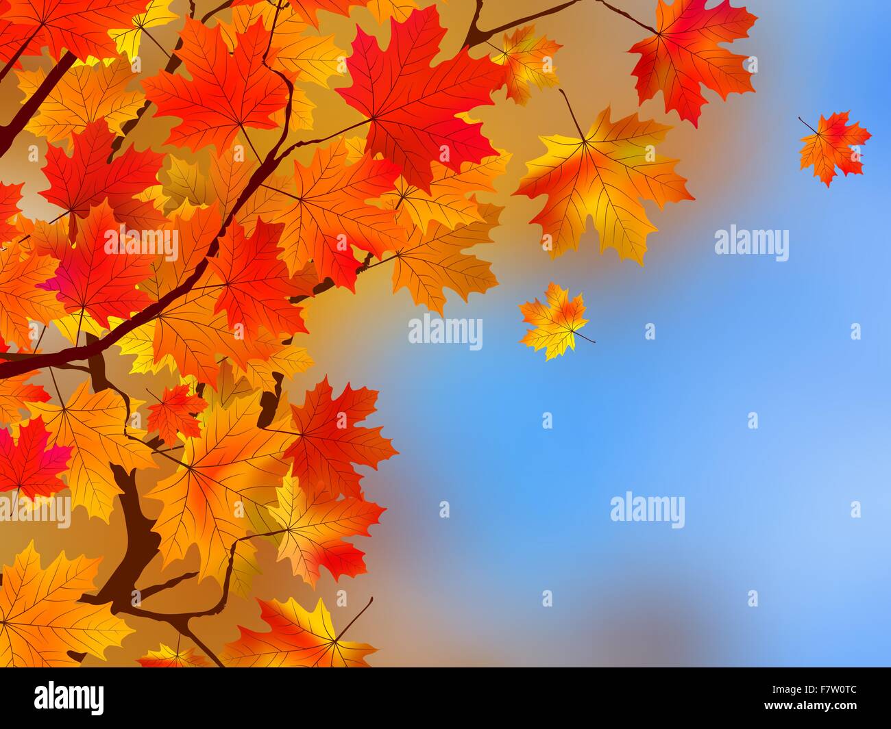 Sfondo costituito di foglie di autunno. EPS 8 Illustrazione Vettoriale