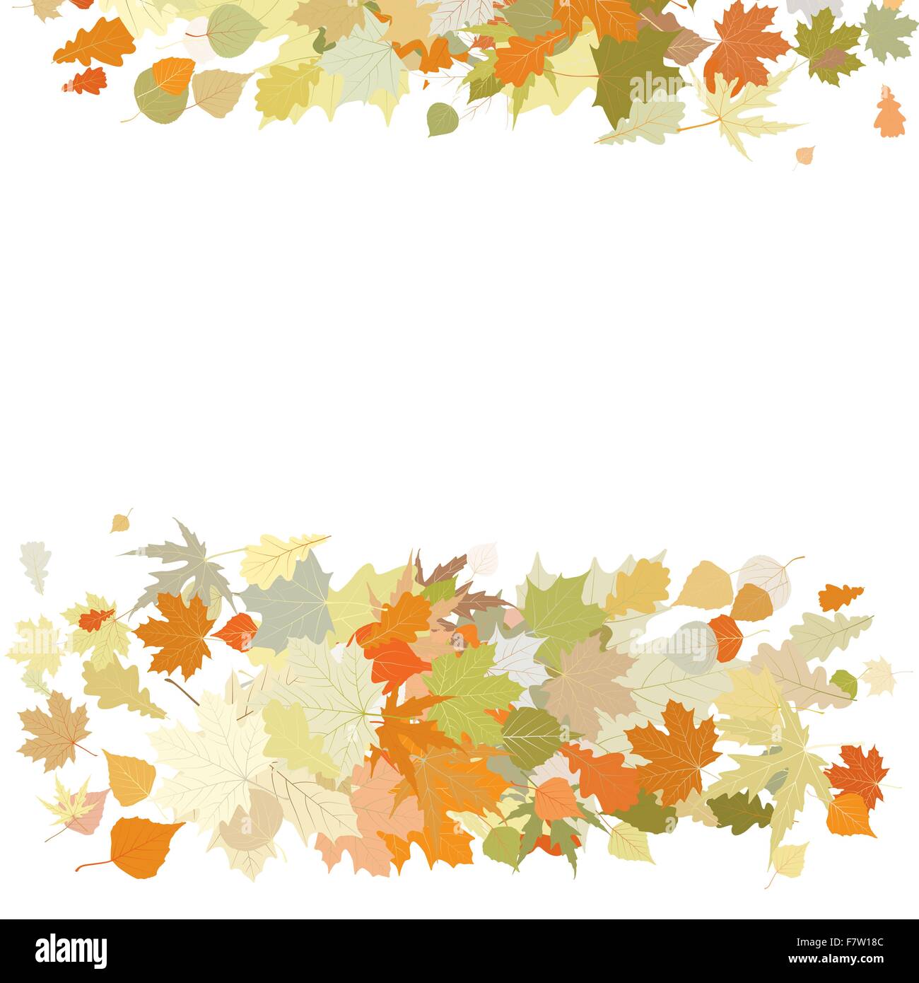 Design Autunno con foglie. EPS 8 Illustrazione Vettoriale