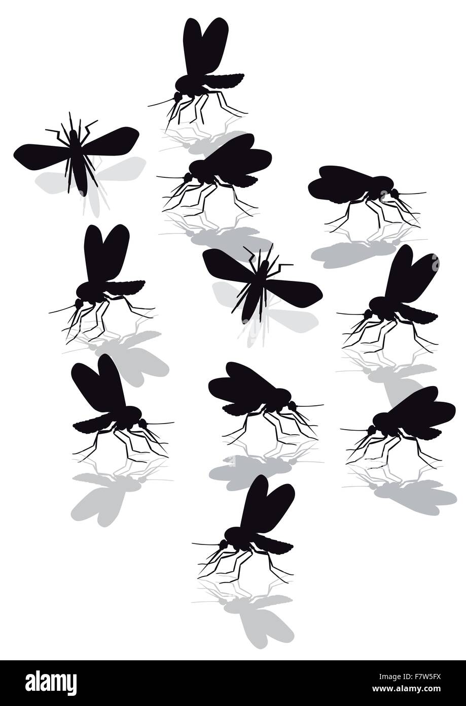 Zanzare peste Illustrazione Vettoriale