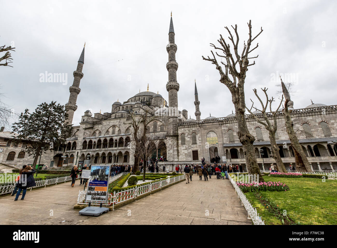 Sultan Ahmed moschea (Moschea Blu), Istanbul, Turchia Foto Stock
