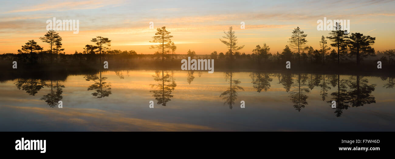 Fotografia panoramica di una torbiera del Lago con Rising Sun e Pino riflesso nell'acqua. Foto Stock