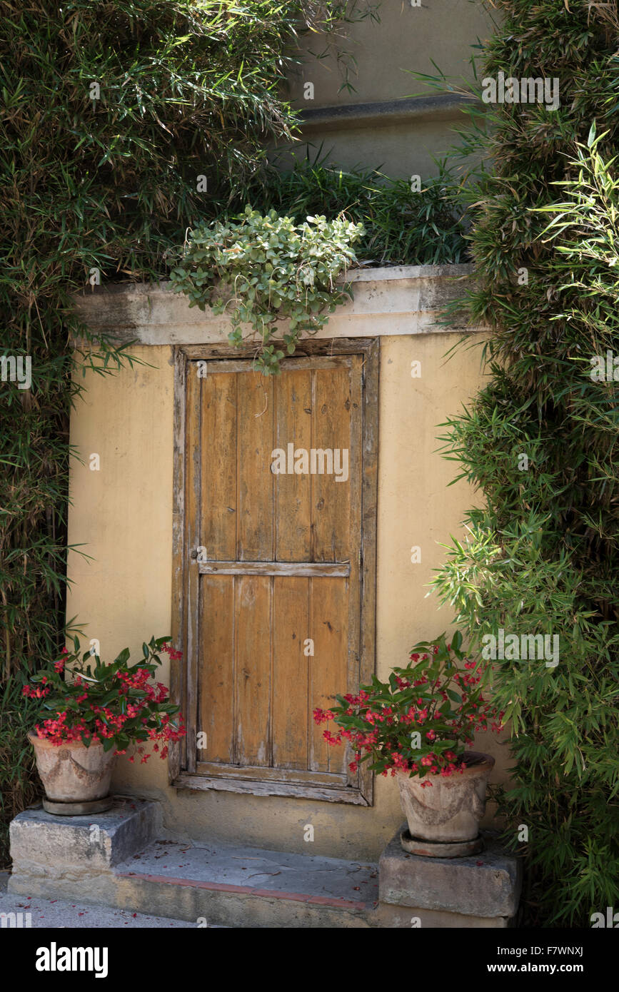 Jardí Botànic, Valencia, Spagna. Foto Stock