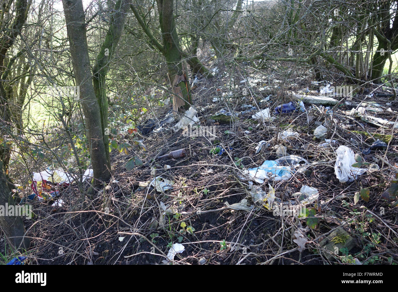 Cucciolata comprendente le bottiglie di plastica carta vetro e altri rifiuti in una siepe in campagna Foto Stock