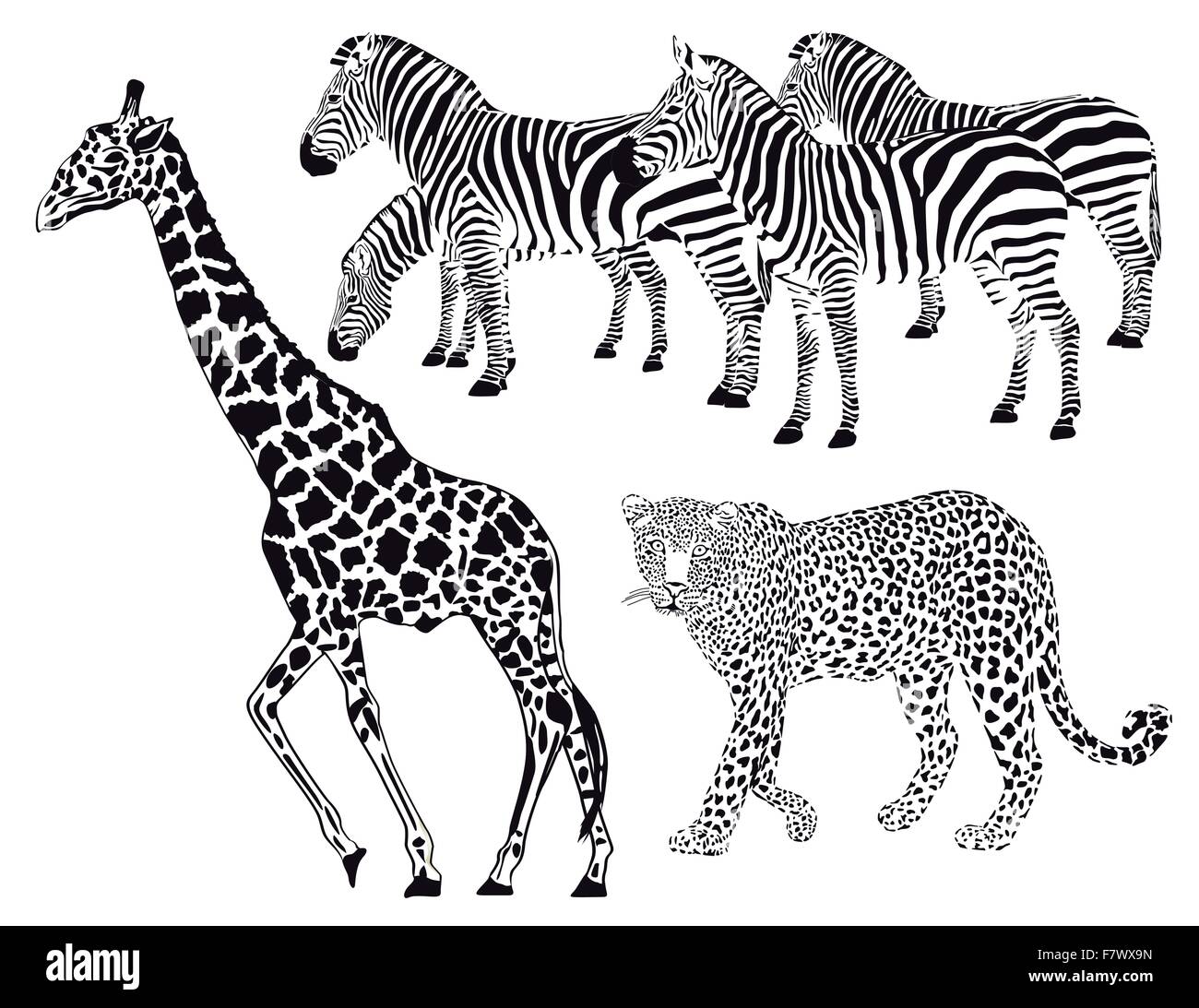Leopard, zebre, giraffe Illustrazione Vettoriale
