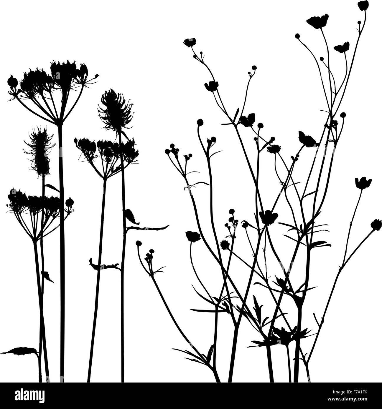 La raccolta per progettisti, vettore di vegetali Illustrazione Vettoriale