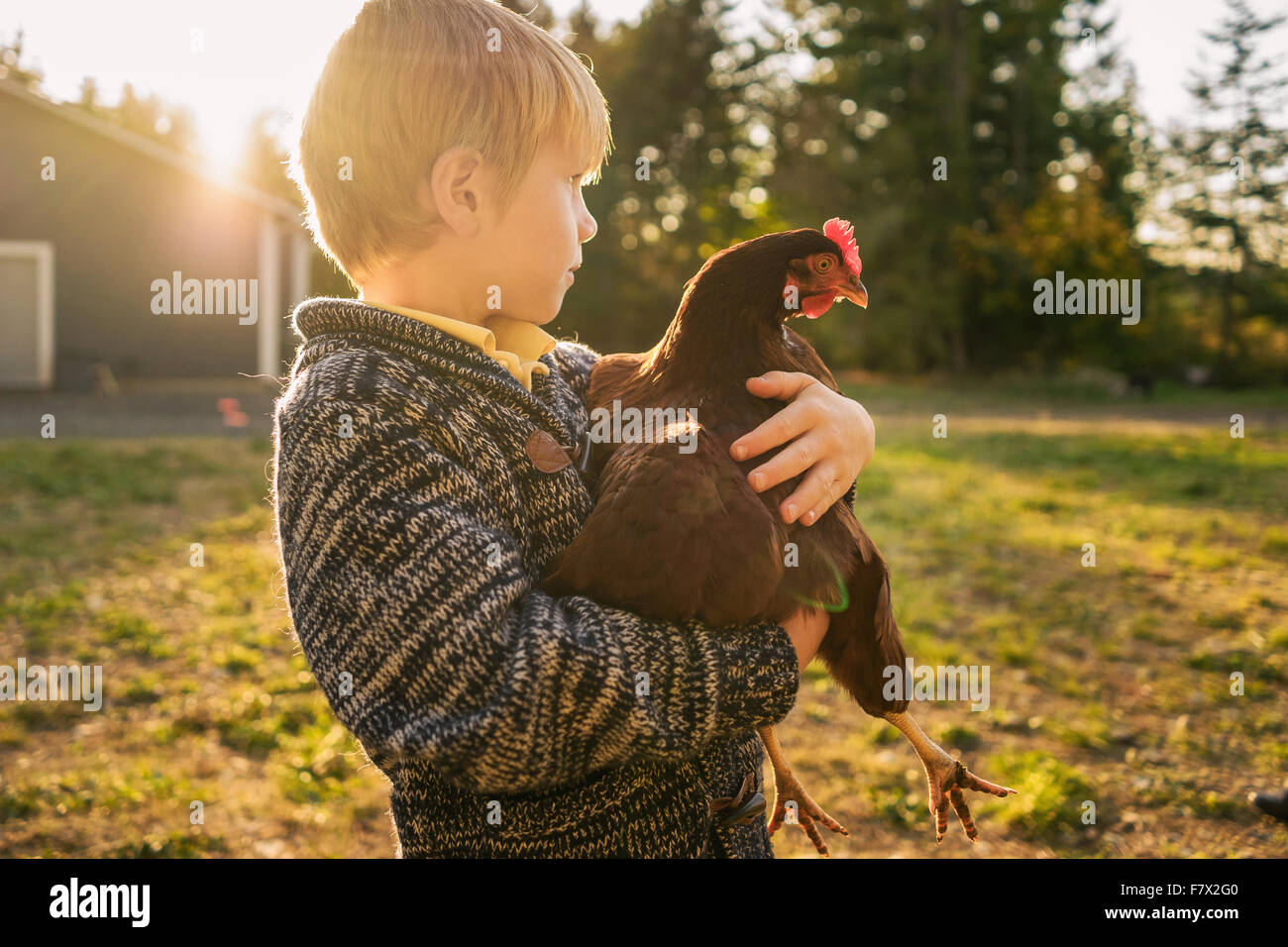 Ragazzo in piedi nel giardino con un pollo Foto Stock