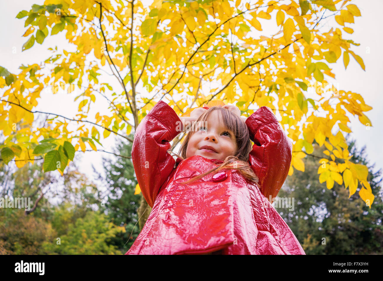 Ragazza in piedi con le mani sulla testa Foto Stock