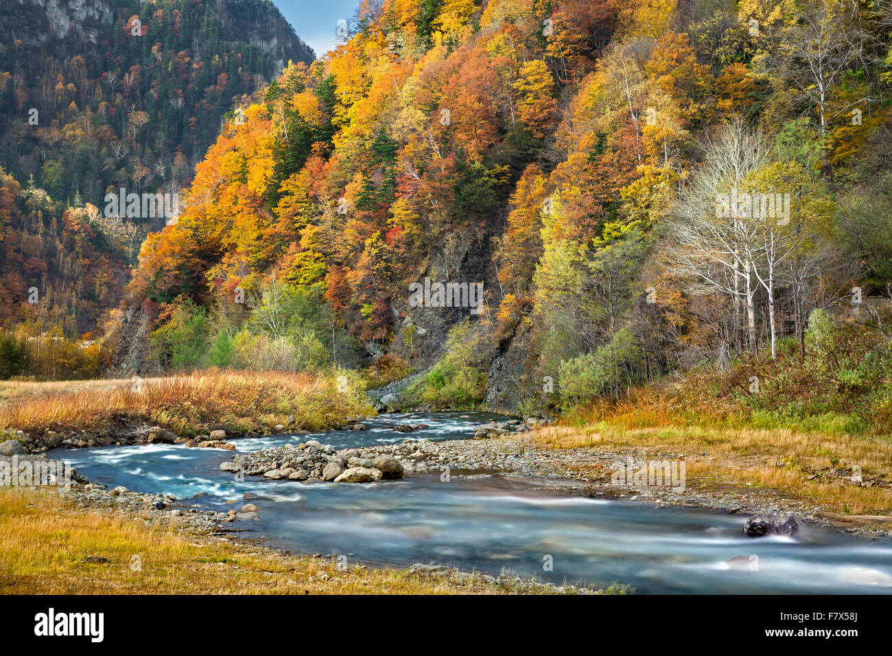 Lungo la valle del fiume in autunno, Hokkaido, Giappone Foto Stock