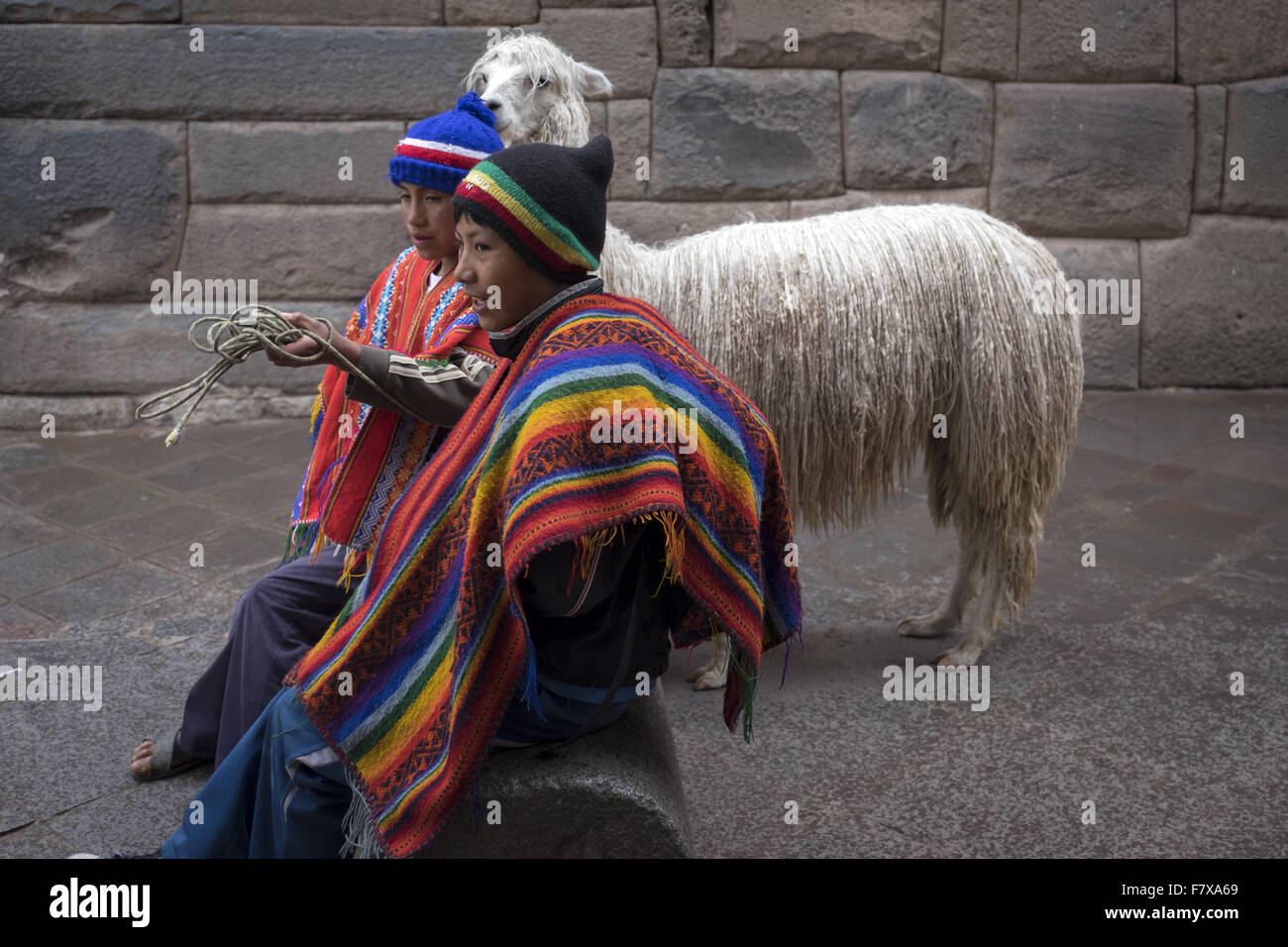 Con indigeni llama attraverso la città di scattare fotografie con turisti e ottenere un po' di soldi Foto Stock