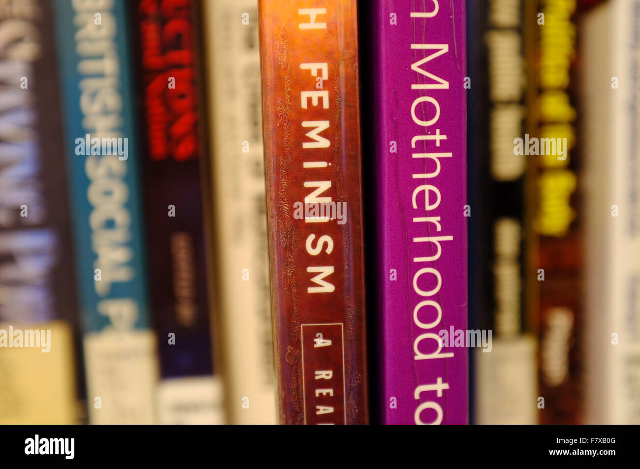 Le spine del femminismo e maternità libri estratta su uno scaffale. Foto Stock