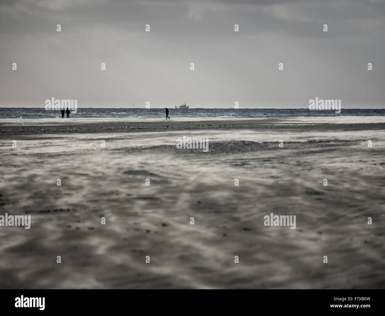 Tempesta di sabbia in spiaggia Fanoe sul danese di costa del Mare del Nord Foto Stock