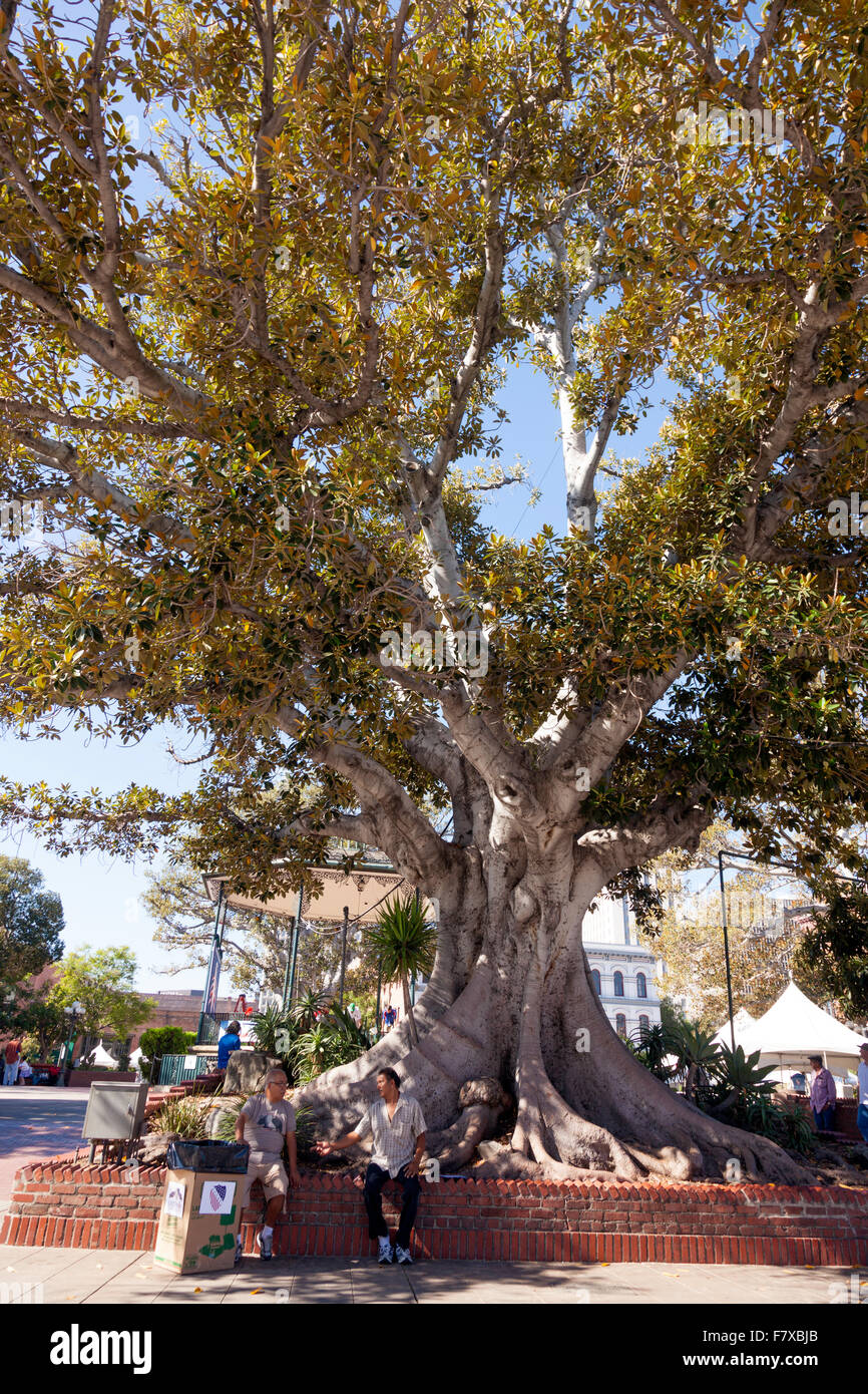 Strada del mercato di Los Angeles cabine di mercato su Olvera Street a Los Angeles Plaza storico distretto di Los Angeles, California, Stati Uniti d'America Foto Stock