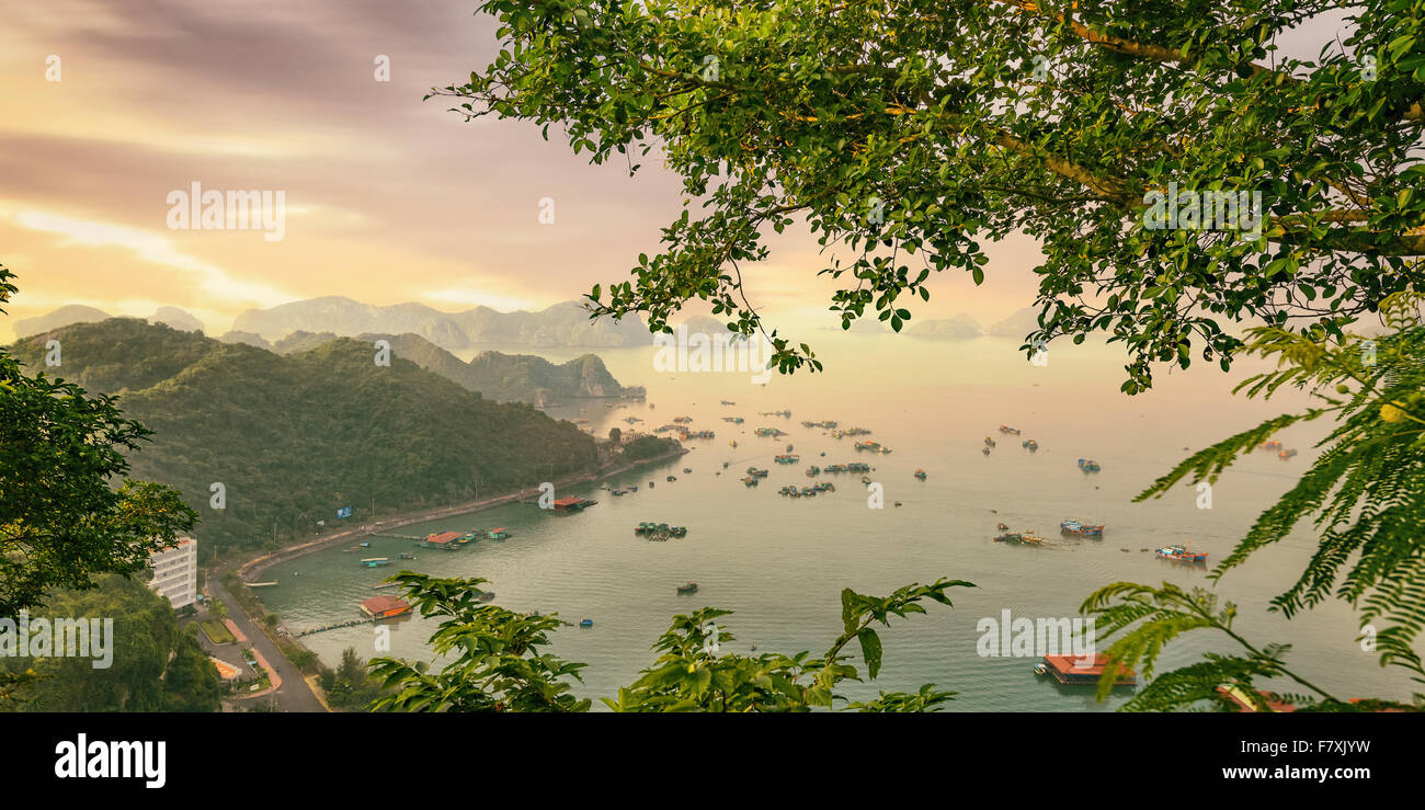 Cat Ba island barche colorate Foto Stock