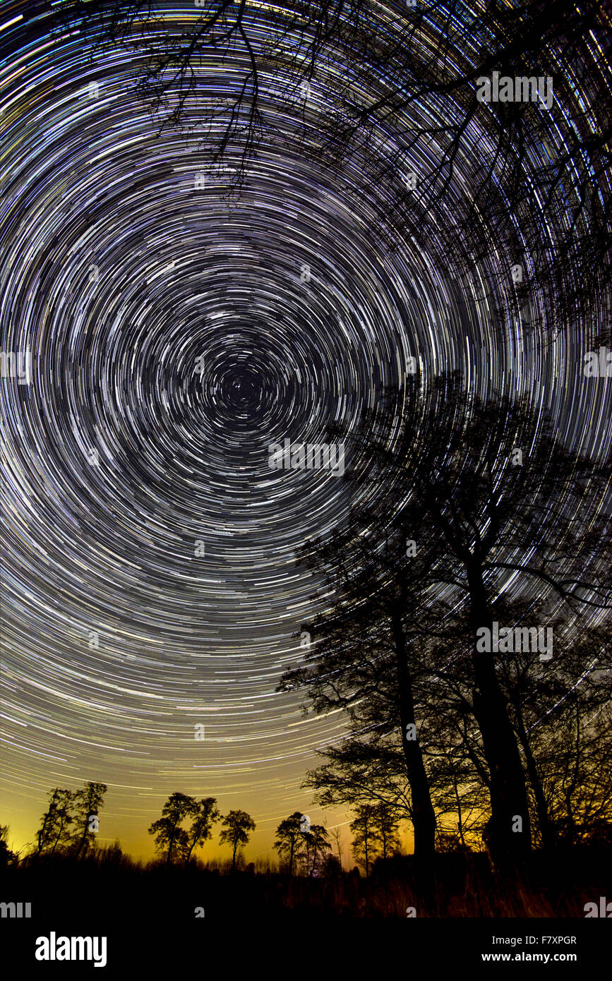 Cielo stellato con alberi, Bassa Sassonia, Germania - montage Foto Stock