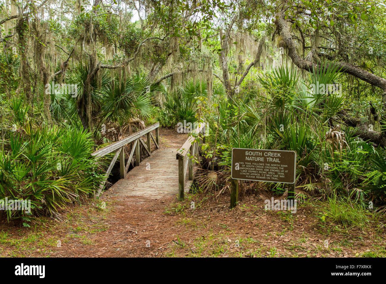 Percorsi a piedi anche se i legni tropicali in Oscar Scherer parco dello stato in Nokomis Florida Foto Stock