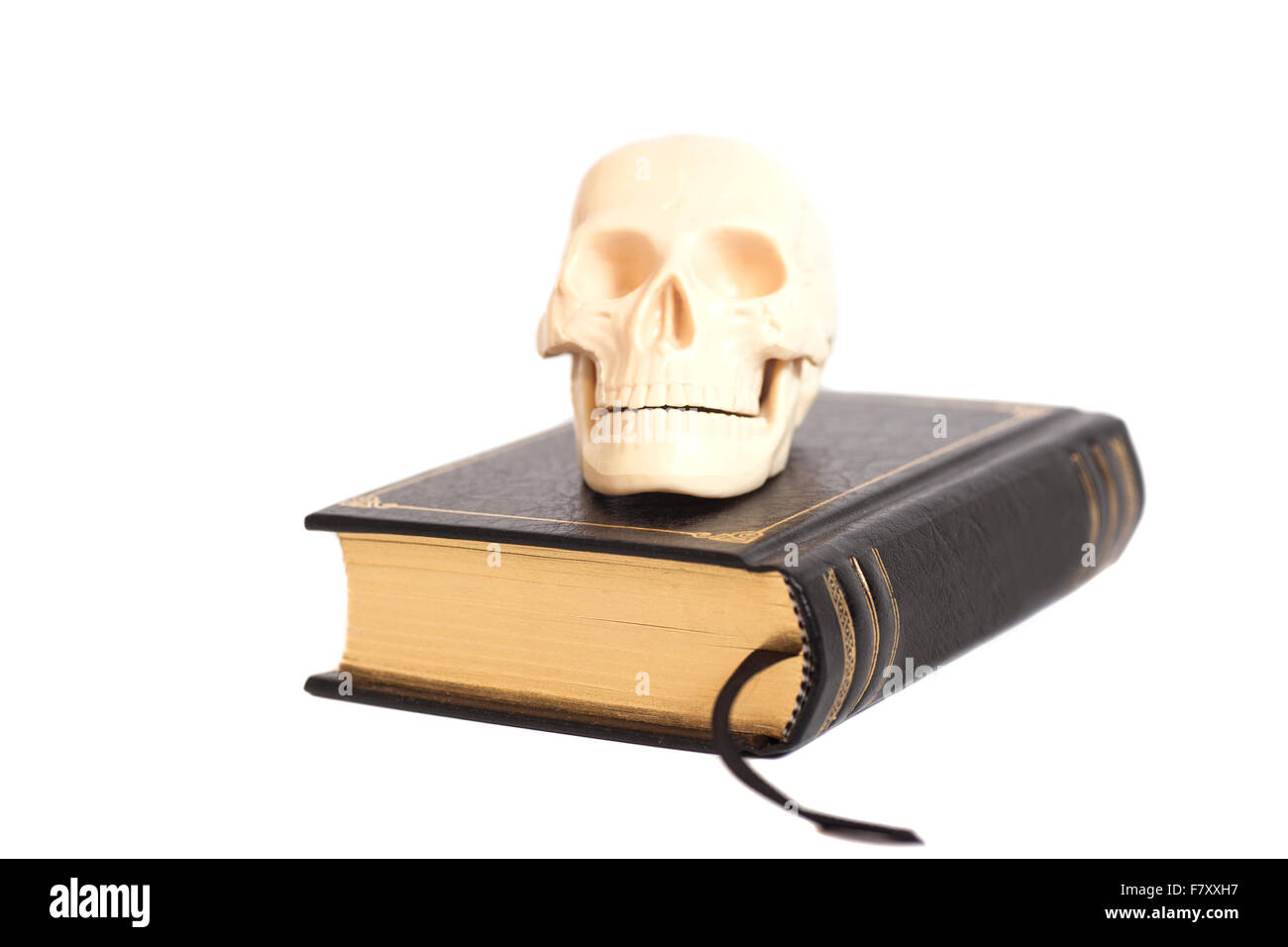 Scull umana sul Libro isolato su bianco Foto Stock