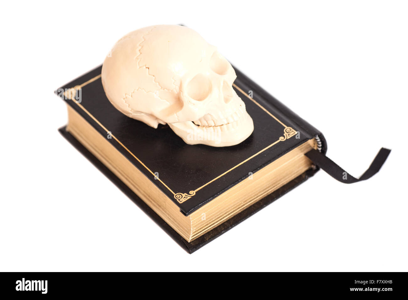 Scull umana sul Libro isolato su bianco Foto Stock