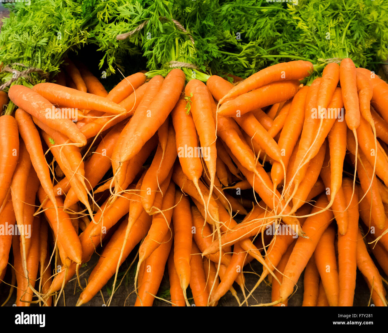 carote organiche Foto Stock