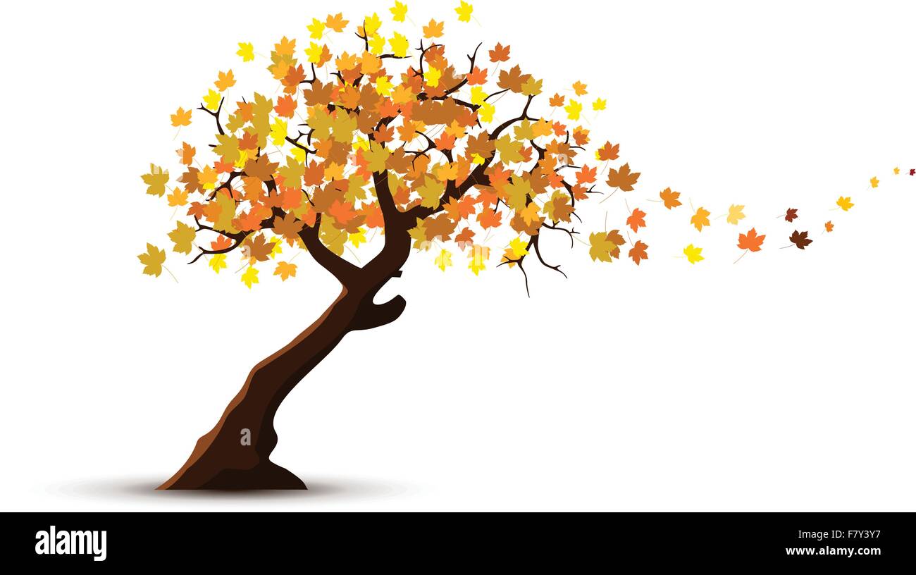 Autumn Tree con la caduta di foglie di acero Illustrazione Vettoriale