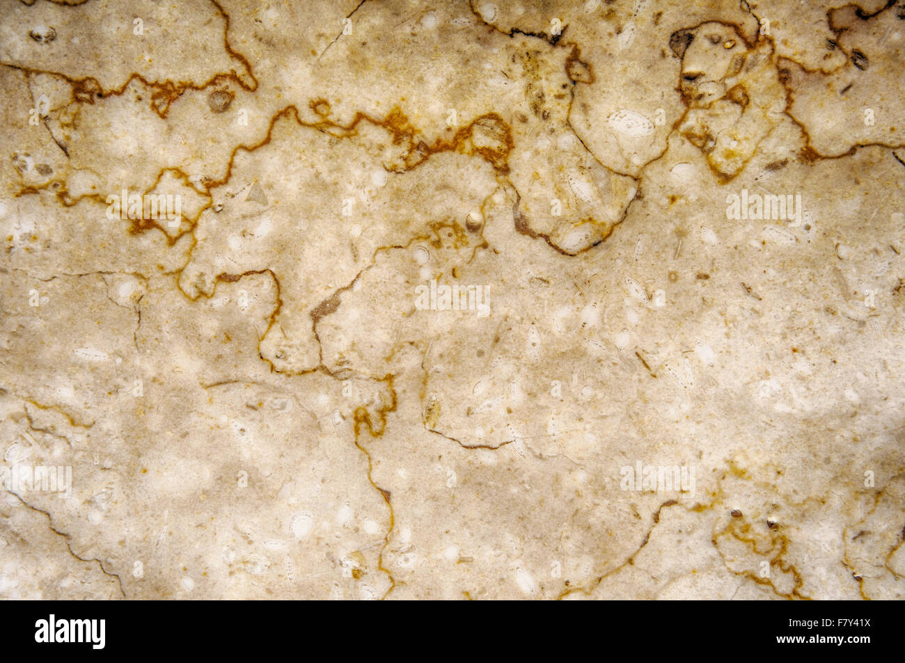 La texture di pietra naturale - Marmo, Onyx, opale, granito Foto Stock