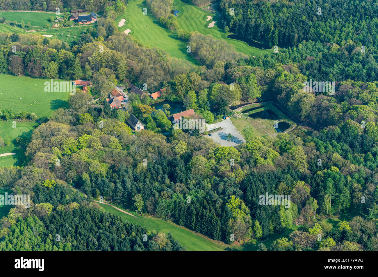 Campo da golf, vechta distretto, Bassa Sassonia, Germania Foto Stock