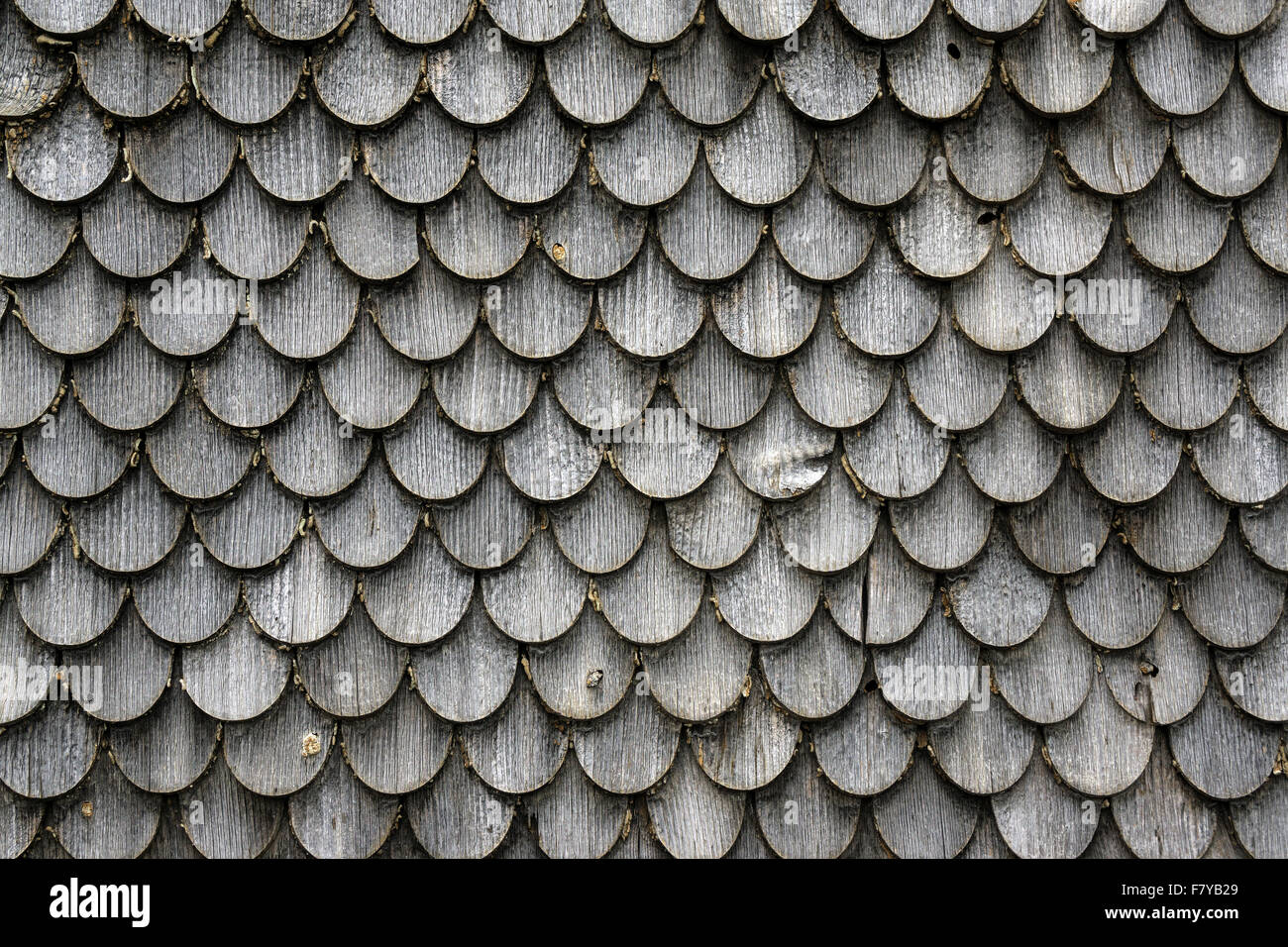 Vecchio scandole di legno su una casa colonica, Winkel vicino a Sonthofen in Algovia, Baviera, Germania Foto Stock