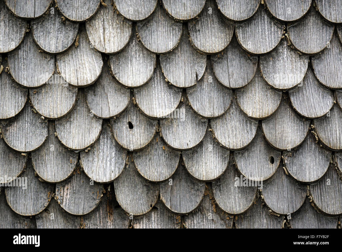 Vecchio scandole di legno su una casa colonica, Winkel vicino a Sonthofen in Algovia, Baviera, Germania Foto Stock