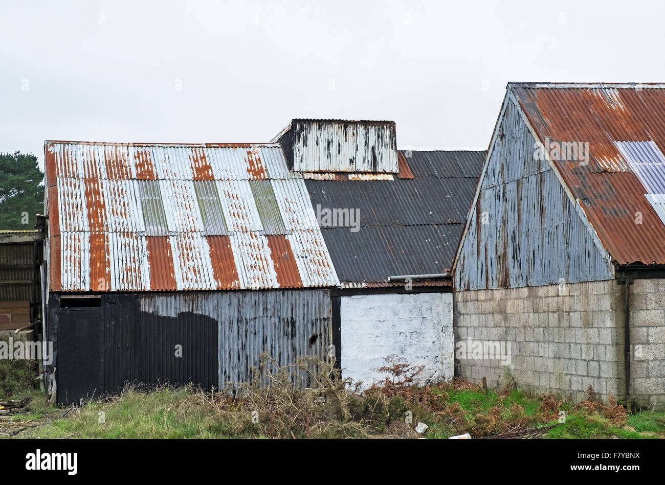 Edifici agricoli realizzati da galvanizzato Acciaio ondulato di pacciamatura Foto Stock