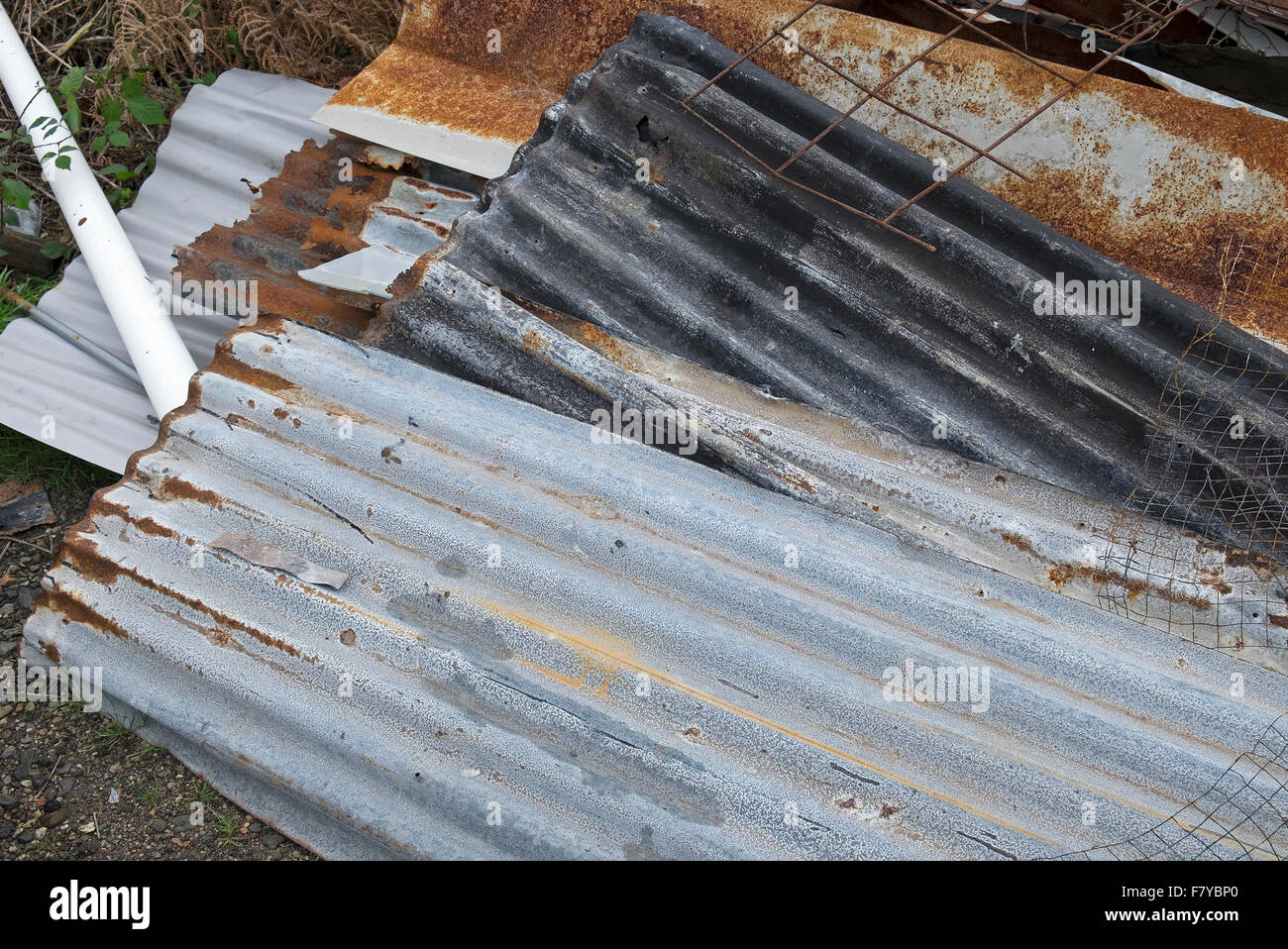 Fogli di ferro ondulato Foto Stock