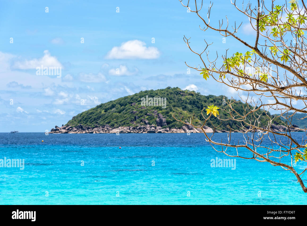 Bellissimo paesaggio naturale blu del cielo e del mare sotto l'albero di fronte alla spiaggia di Koh Miang isola durante l'estate in Mu Ko Similan Foto Stock