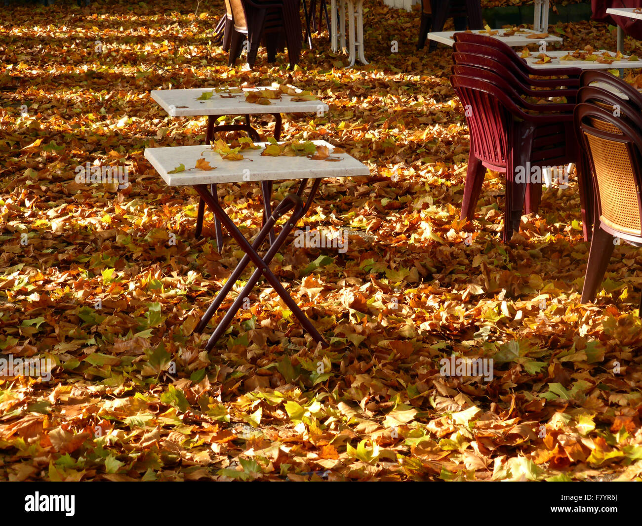 Tavoli e sedie coperto di foglie di autunno e colore Foto Stock