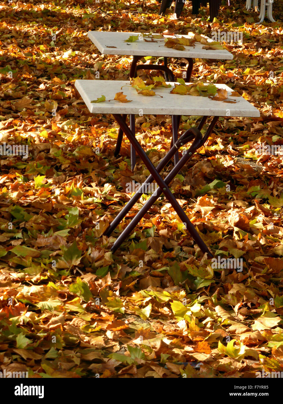 Tavoli e sedie coperto di foglie di autunno e colore Foto Stock