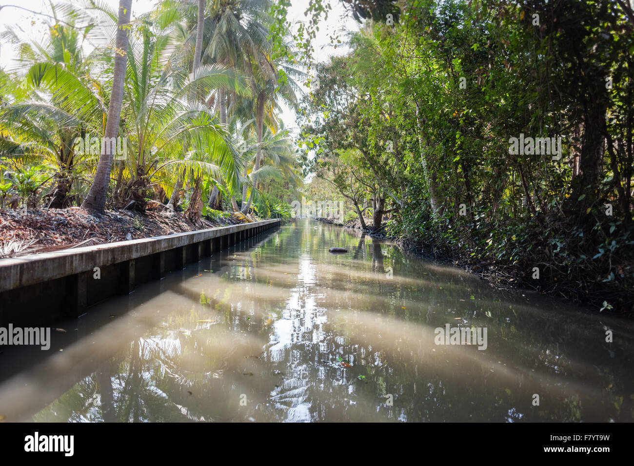 Un canale nel nebbioso giungla tailandese o di campagna nella provincia di Ratchaburi Foto Stock