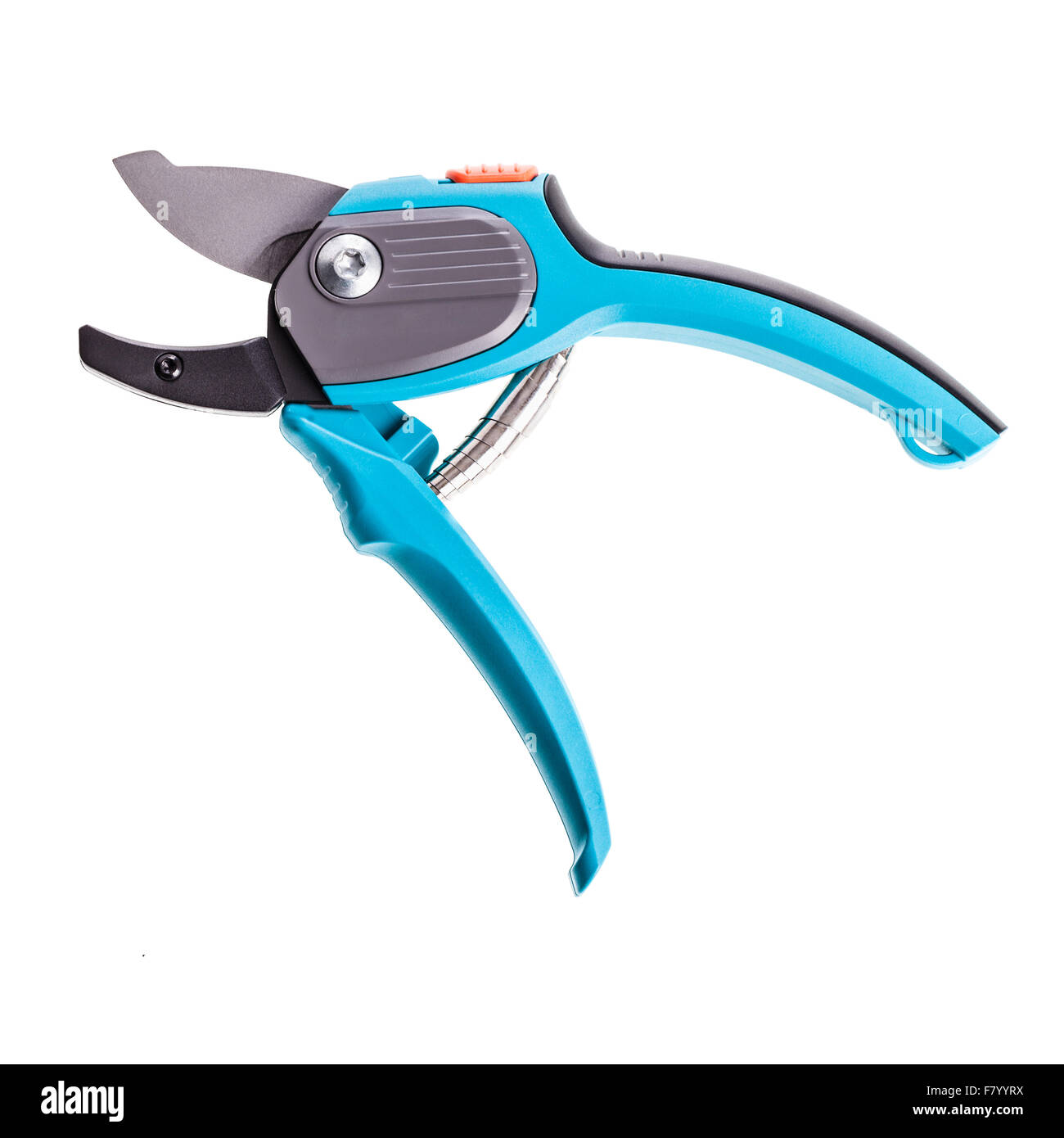 Blue garden secateurs isolate su uno sfondo bianco Foto Stock