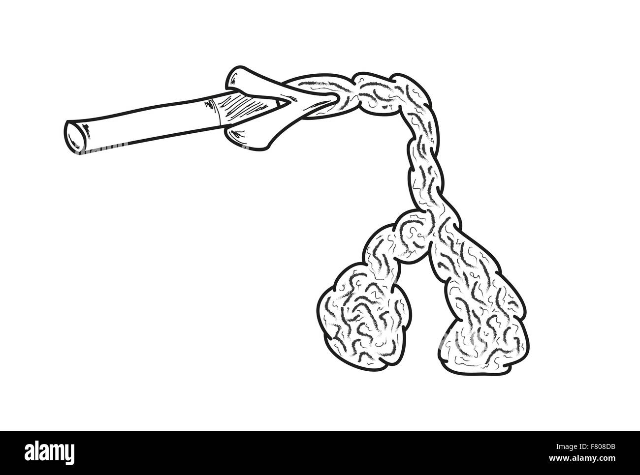 Sigarette e polmoni Illustrazione Vettoriale