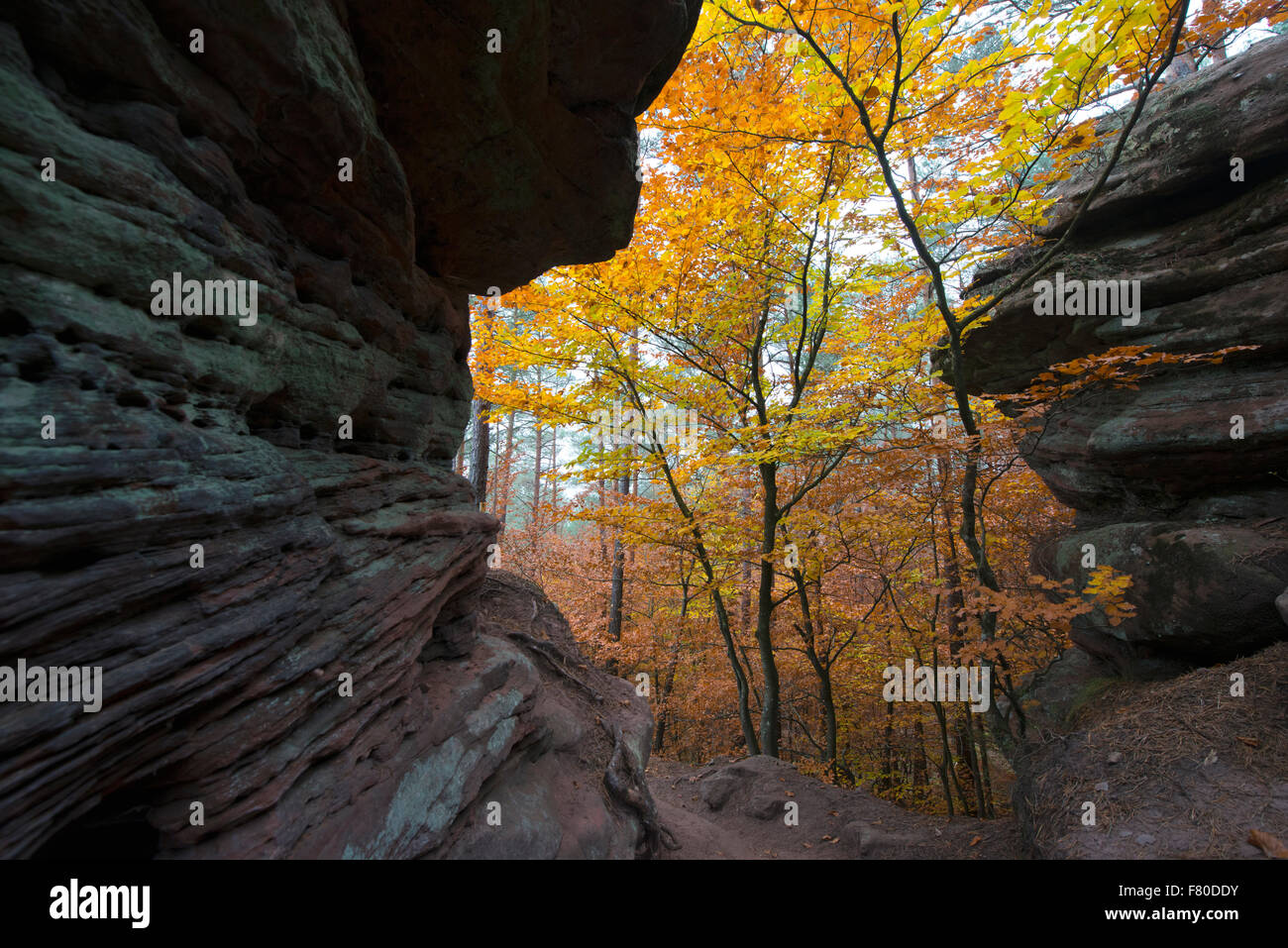 Rosskegelfels, dahner felsenland (dahn rockland), dahn, südwestpfalz district, la RENANIA-PALATINATO, Germania Foto Stock