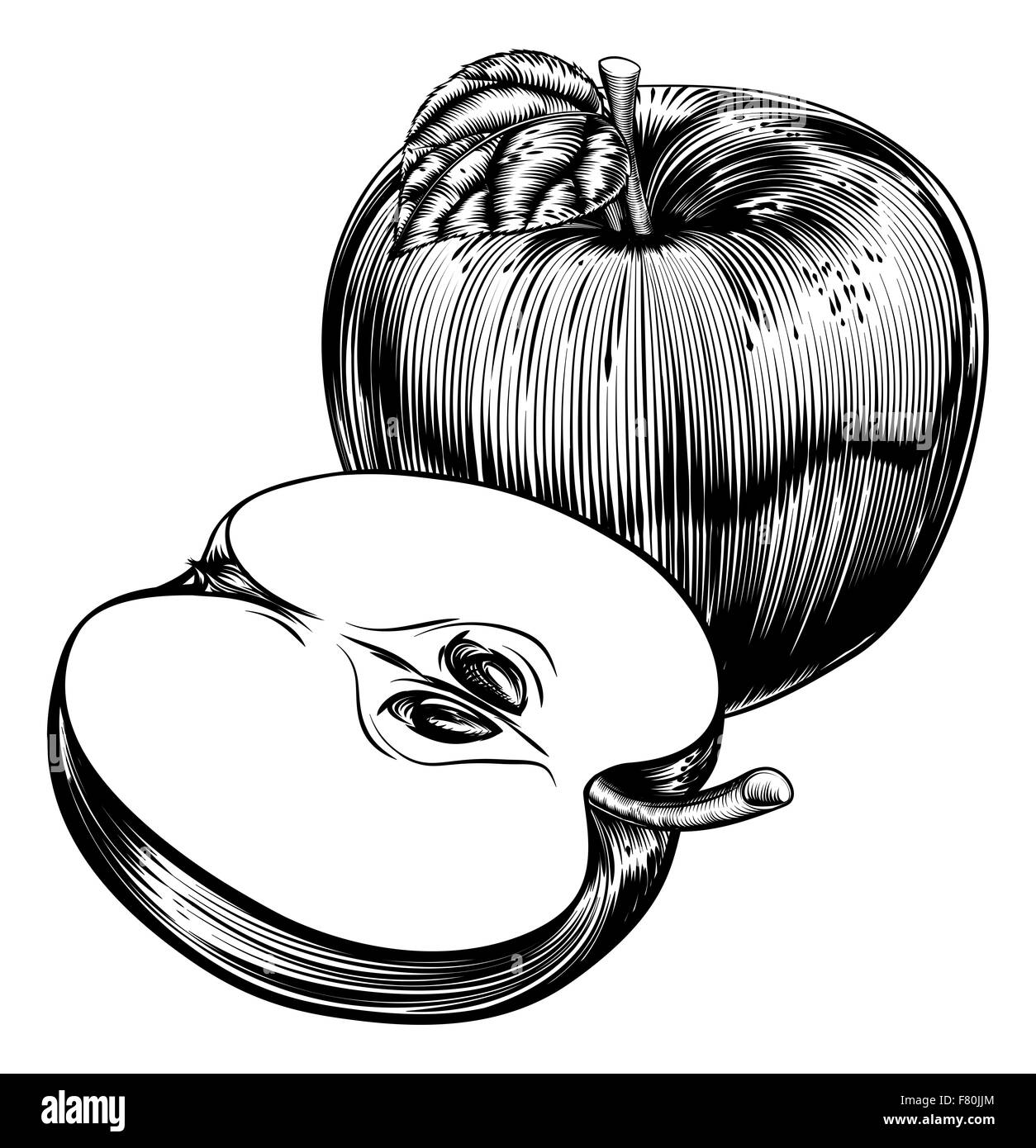 Un disegno originale di una mela intera e fette di frutta Apple in un vintage xilografia o stile woodblock Foto Stock