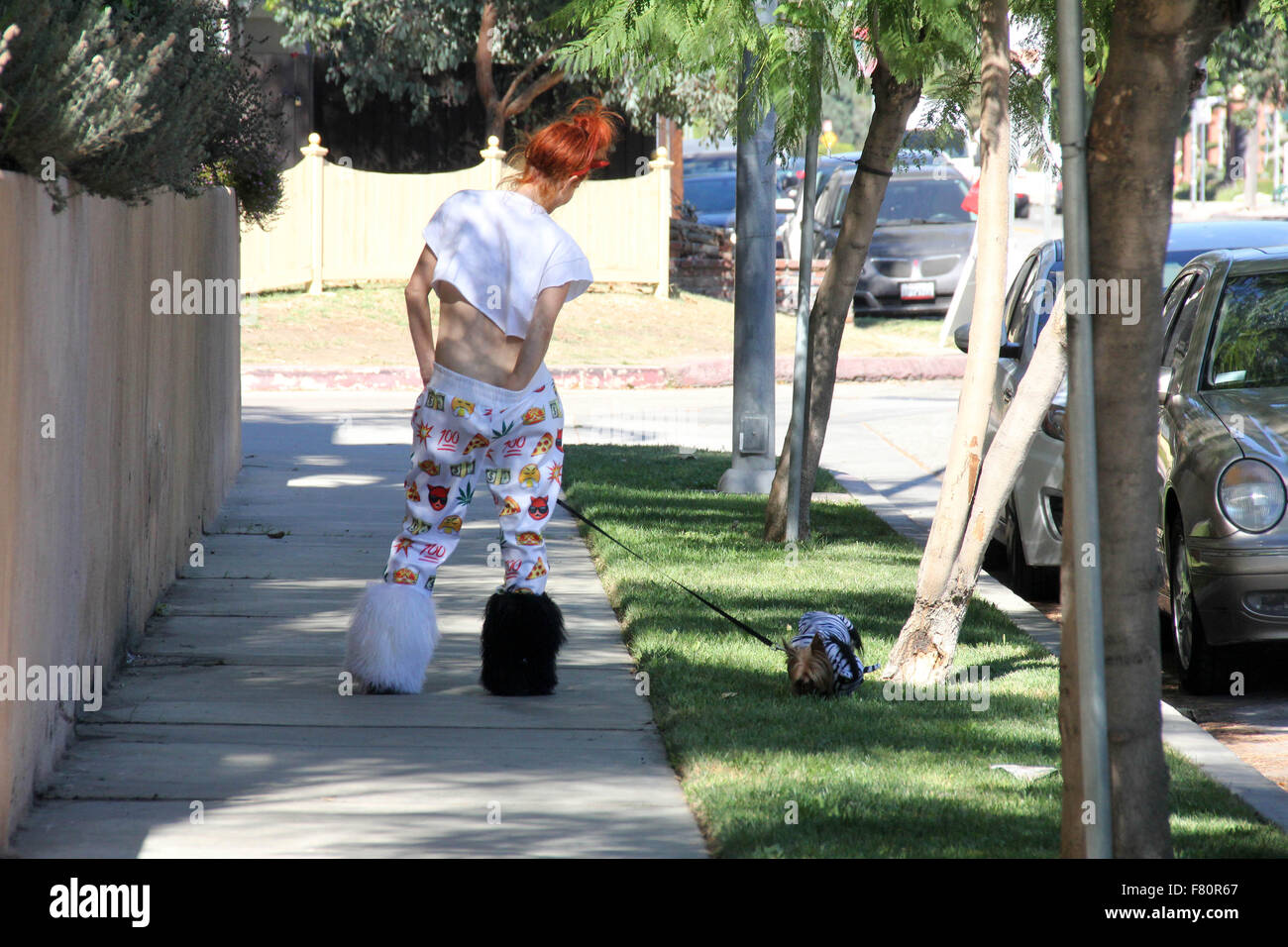 Phoebe prezzo sembra meno glamour rispetto al solito, con mis-matching bianca e stivali di pelliccia, pigiama style fondelli e strappata t-shirt, mentre si cammina per il suo cane in Encino dotate: Phoebe Prezzi Dove: Los Angeles, California, Stati Uniti quando: 02 Nov 2015 Foto Stock