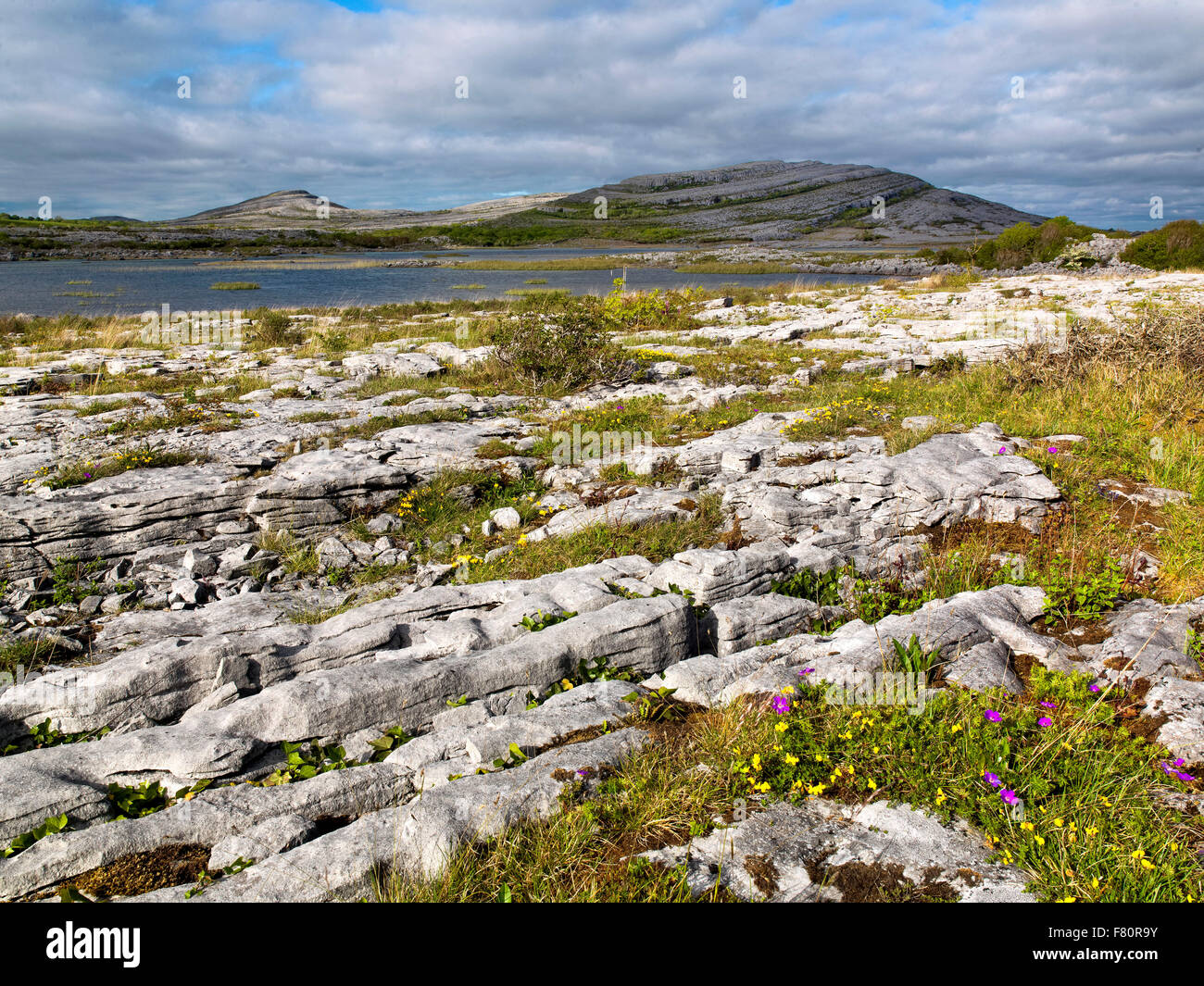 Gealain Lough, Mullagh più, Burren, County Clare, in Irlanda, il selvaggio modo atlantico Foto Stock