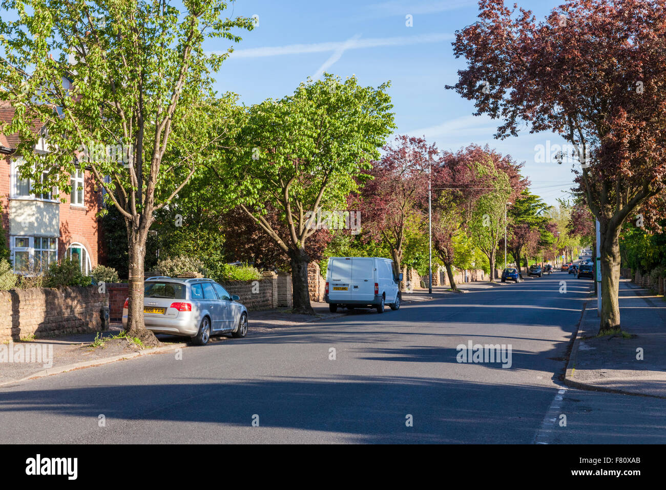 Una varietà di alberi in primavera su una zona residenziale strada alberata, West Bridgford, Nottinghamshire, England, Regno Unito Foto Stock