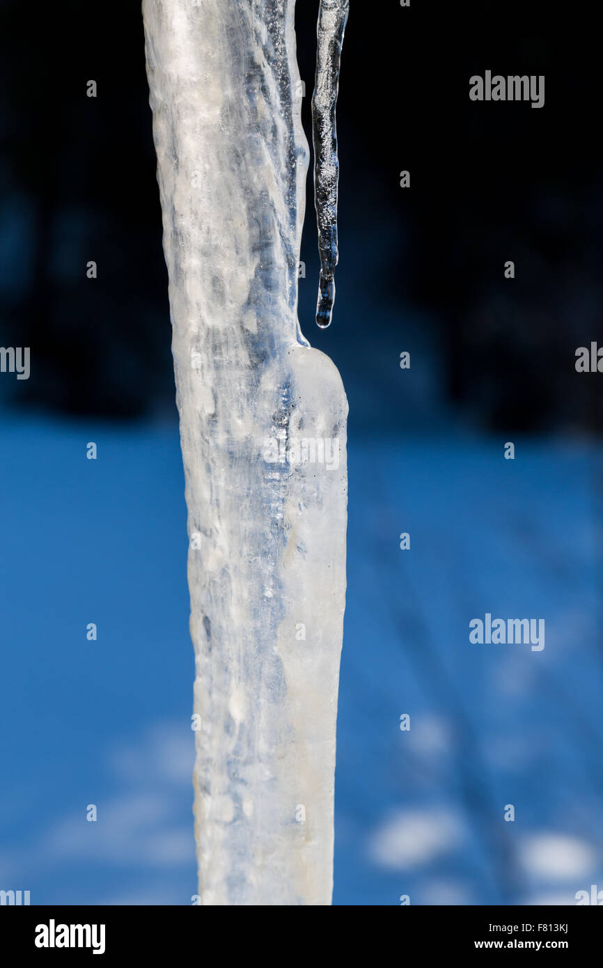 Close up icicle lungo la fusione in sun Foto Stock