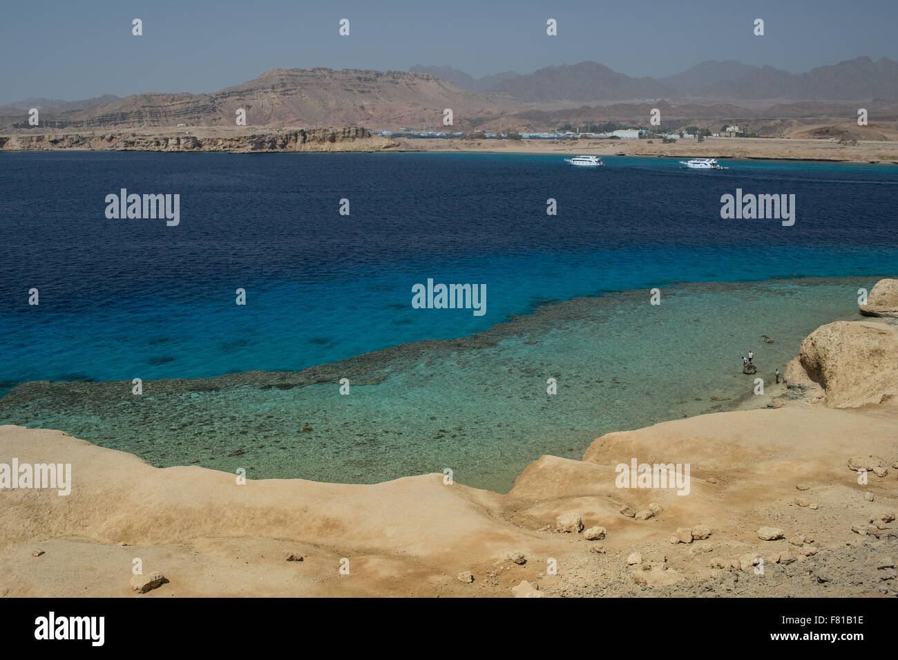La costa e la barriera corallina di Sharm el-Sheikh, Mar Rosso, Egitto Foto Stock