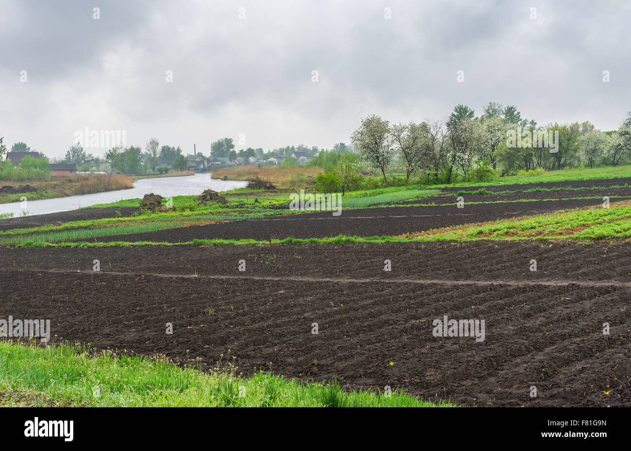 La molla del paesaggio con i giardini di vegetale su una banca del fiume Kotelva in Kotelva insediamento, Poltavskaya, Oblast di Ucraina Foto Stock