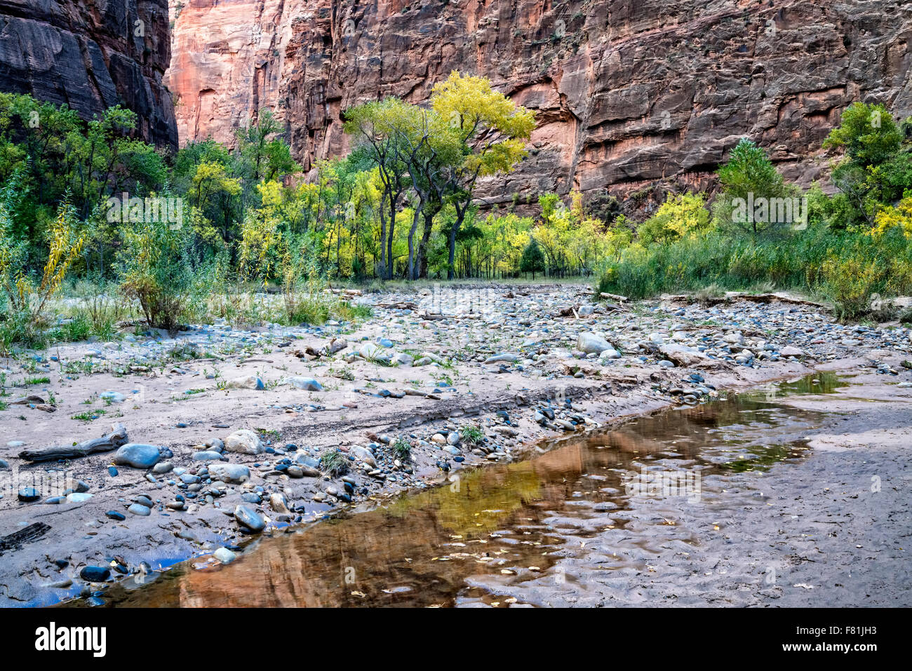Parco Nazionale di Zion in autunno Foto Stock Parco Nazionale di Zion in autunno Foto Stock