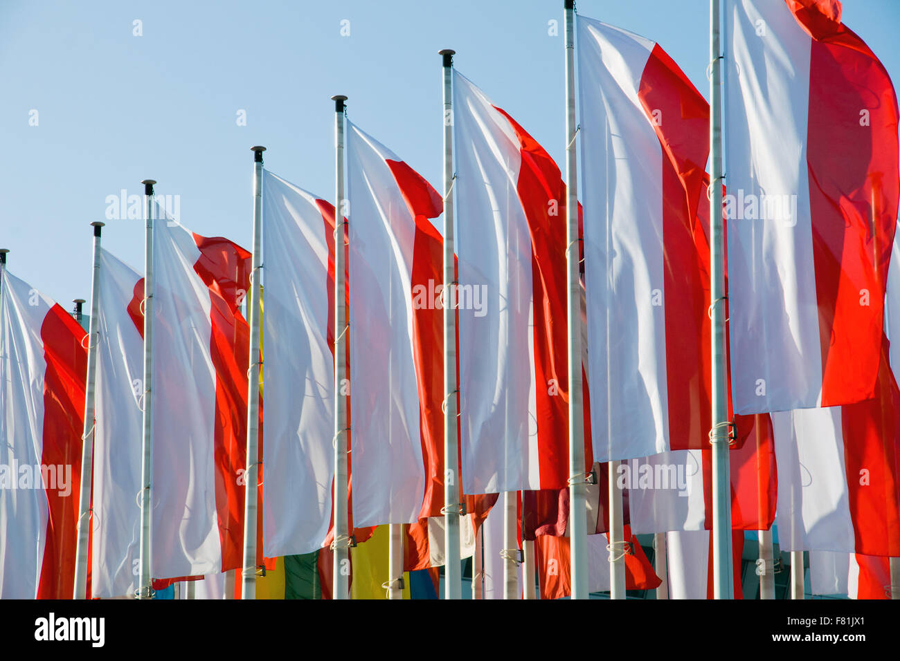 Una fila di bandiere polacche Foto Stock
