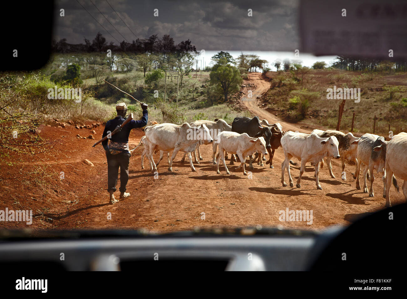 Armati di guardia drovers il trogolo di bestiame su strada nei pressi di Marsabit nel nord del Kenya. Foto Stock