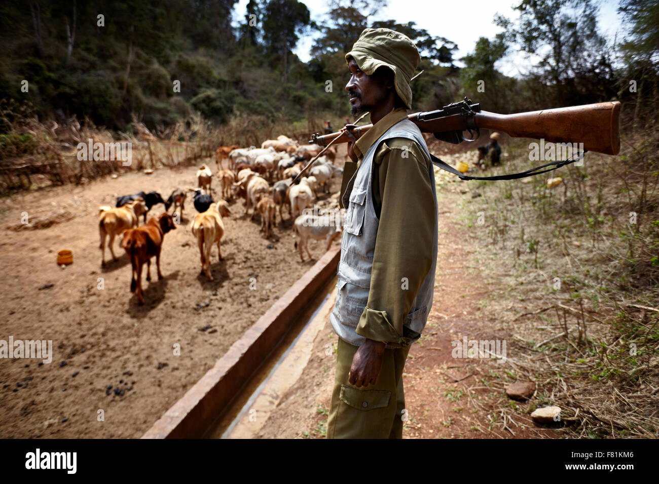 Armati di guardia drovers il trogolo di bovini, cantando pozzetti di Marsabit nel nord del Kenya. Foto Stock
