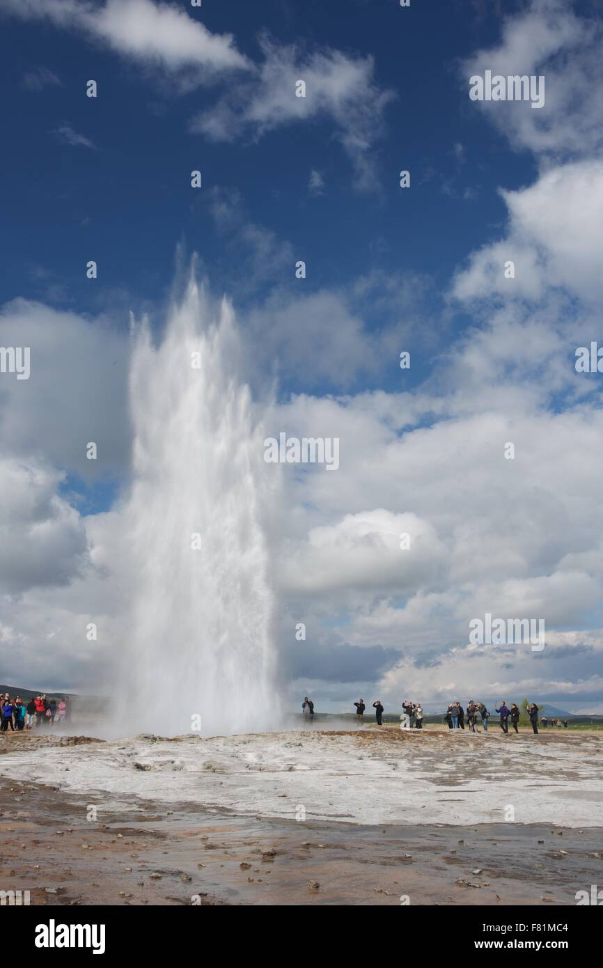 Geysir geyser sta scoppiando per il Golden Circle, Islanda Foto Stock